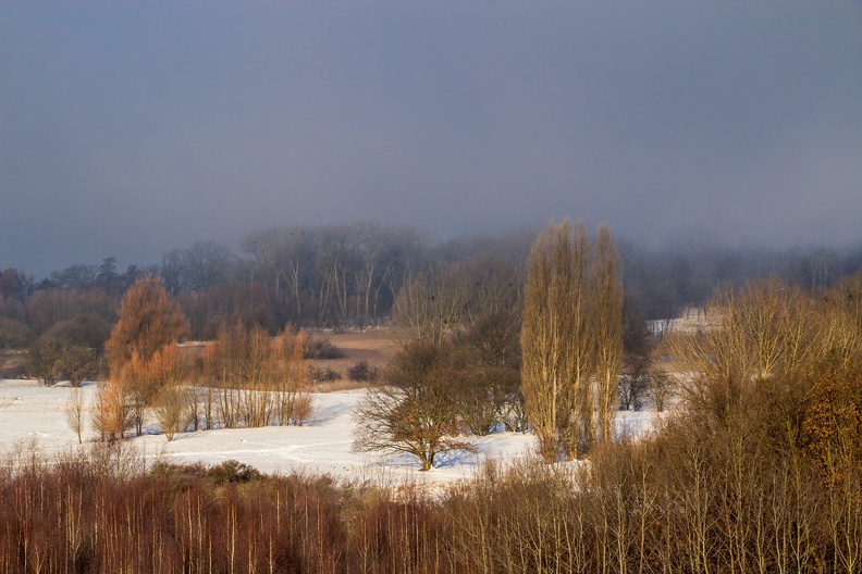 _MG_4378-Bearbeitet.jpg