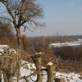  MG 8460-Bearbeitet