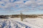  MG 4953-Bearbeitet-2
