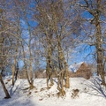  MG 5182-Bearbeitet