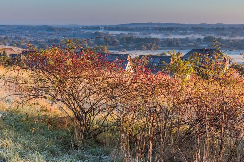 _MG_4531-Bearbeitet.jpg