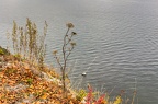  MG 1593-Bearbeitet