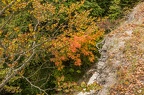  MG 1602-Bearbeitet