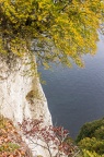  MG 1613-Bearbeitet