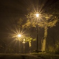 Heimweg im Nebel
