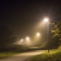 Heimweg im Nebel