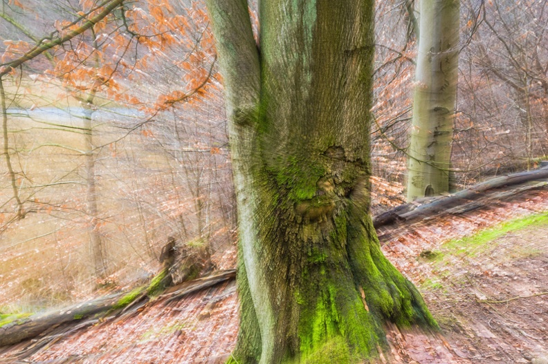 494A6207-Bearbeitet.jpg