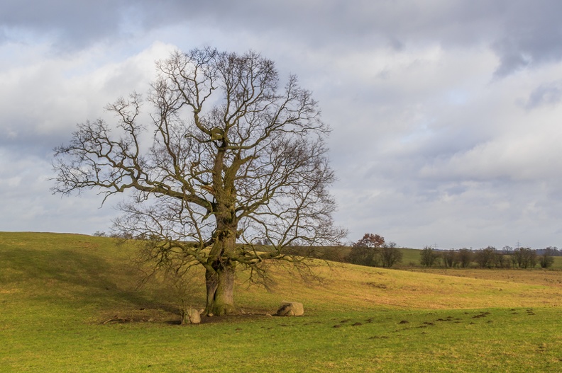 494A6247-Bearbeitet.jpg