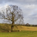 494A6247-Bearbeitet